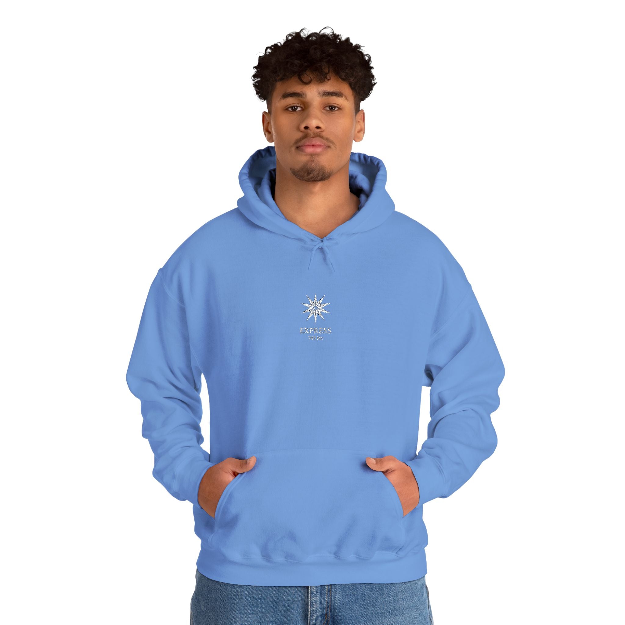 F°7 - EXPRESS - EMBROIDERED Unisex Heavy Blend™ Hooded Sweatshirt
