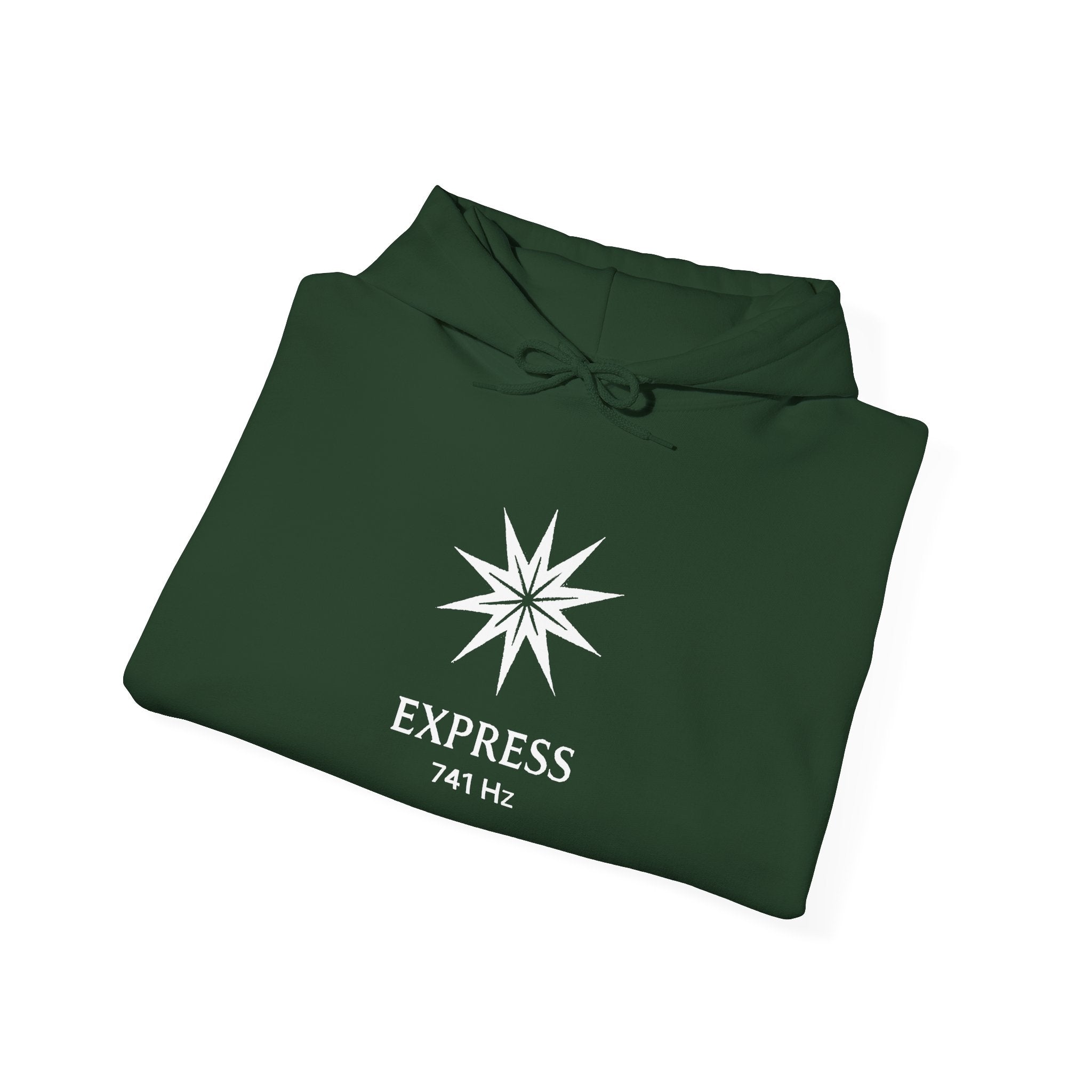 Express 741 Hz Star Logo Hoodie | Frequency Botanical Minimalist Design