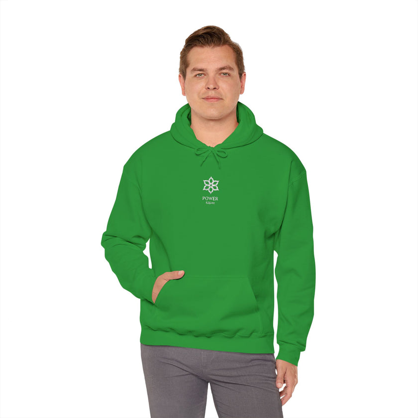 F°5 - POWER - EMBROIDERED Unisex Heavy Blend™ Hooded Sweatshirt
