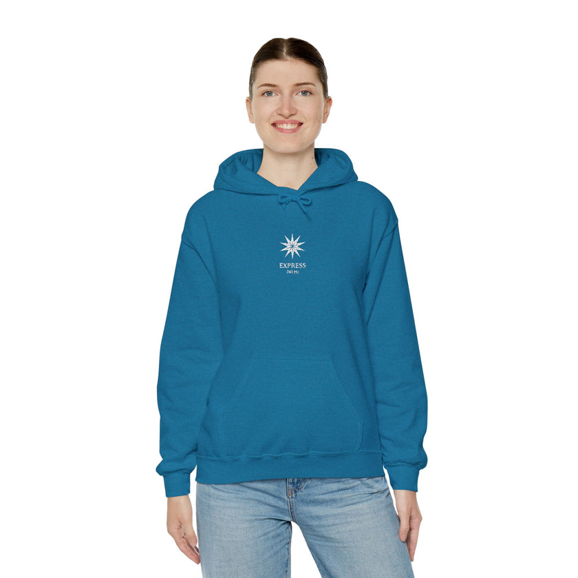 F°7 - EXPRESS - EMBROIDERED Unisex Heavy Blend™ Hooded Sweatshirt