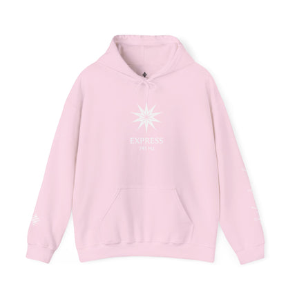 Express 741 Hz Star Logo Hoodie | Frequency Botanical Minimalist Design