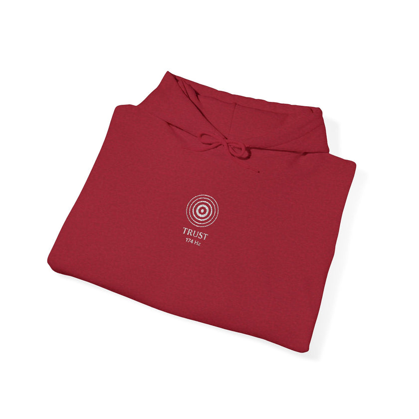 F°1 - TRUST - EMBROIDERED Unisex Heavy Blend™ Hooded Sweatshirt