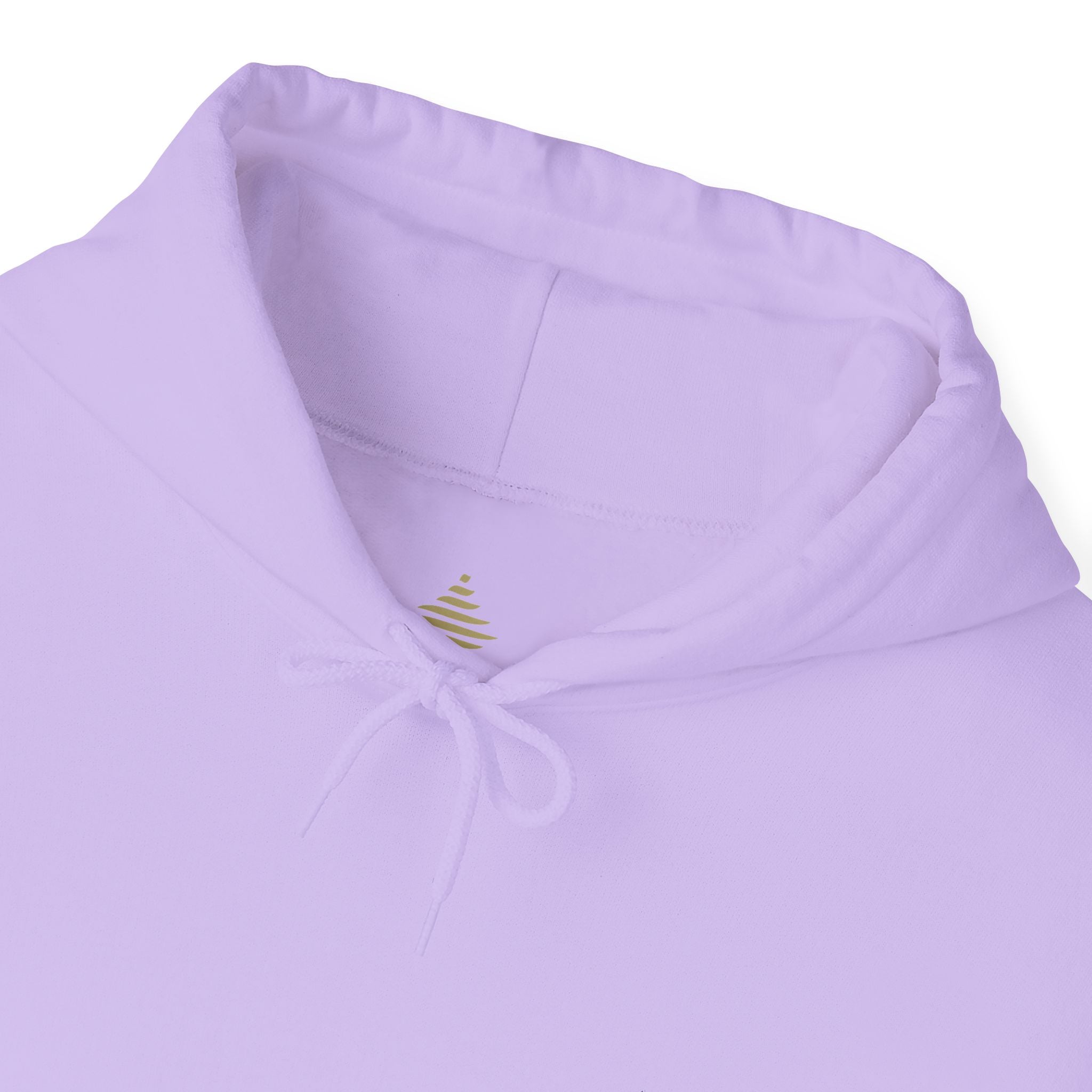 F°9 - INSPIRE - EMBROIDERED Unisex Heavy Blend™ Hooded Sweatshirt