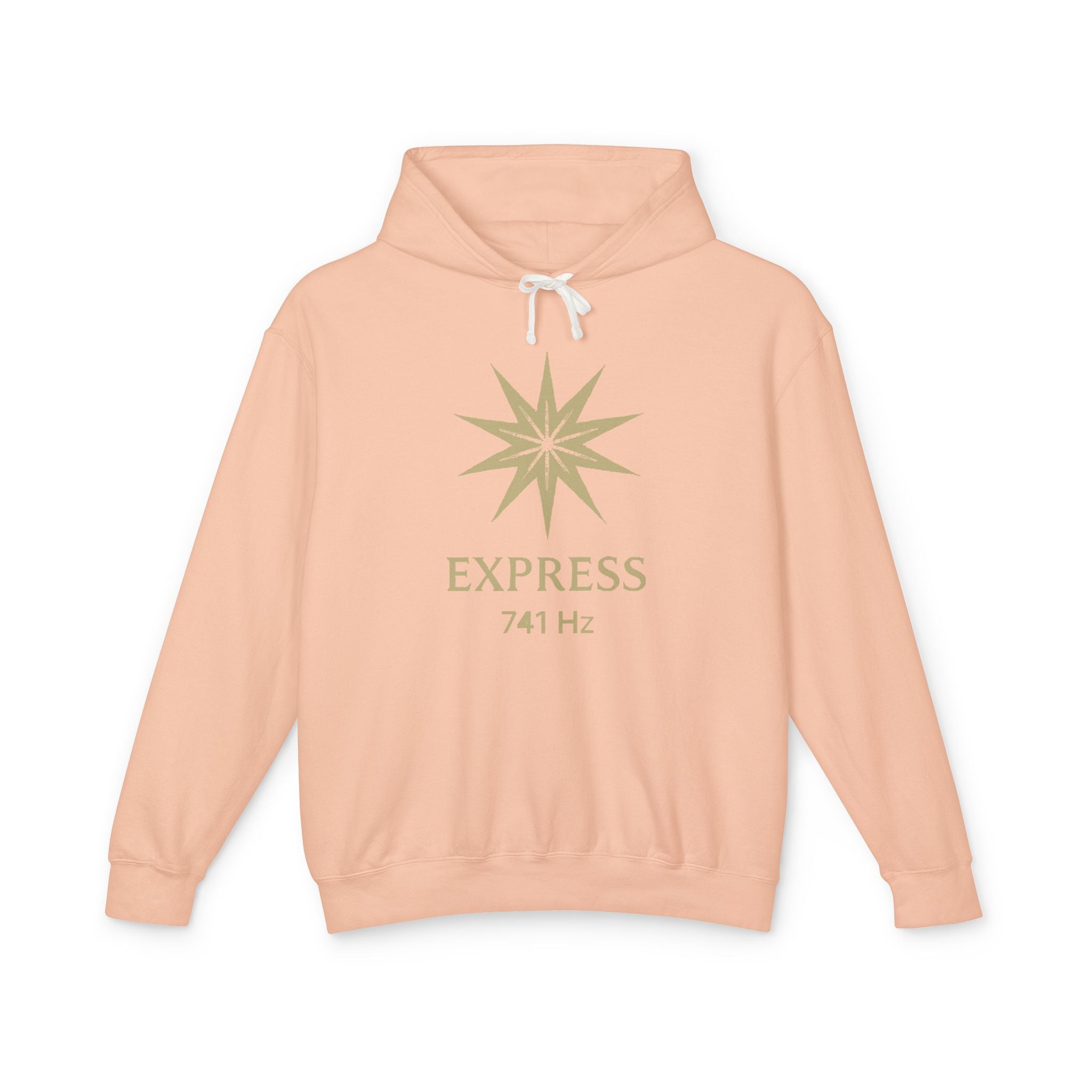 F°7 - EXPRESS - Unisex Lightweight Hooded Sweatshirt