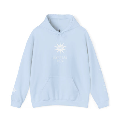 Express 741 Hz Star Logo Hoodie | Frequency Botanical Minimalist Design