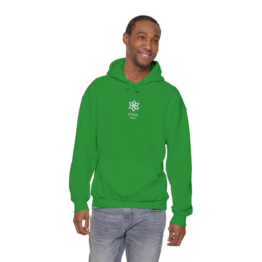F°5 - POWER - EMBROIDERED Unisex Heavy Blend™ Hooded Sweatshirt