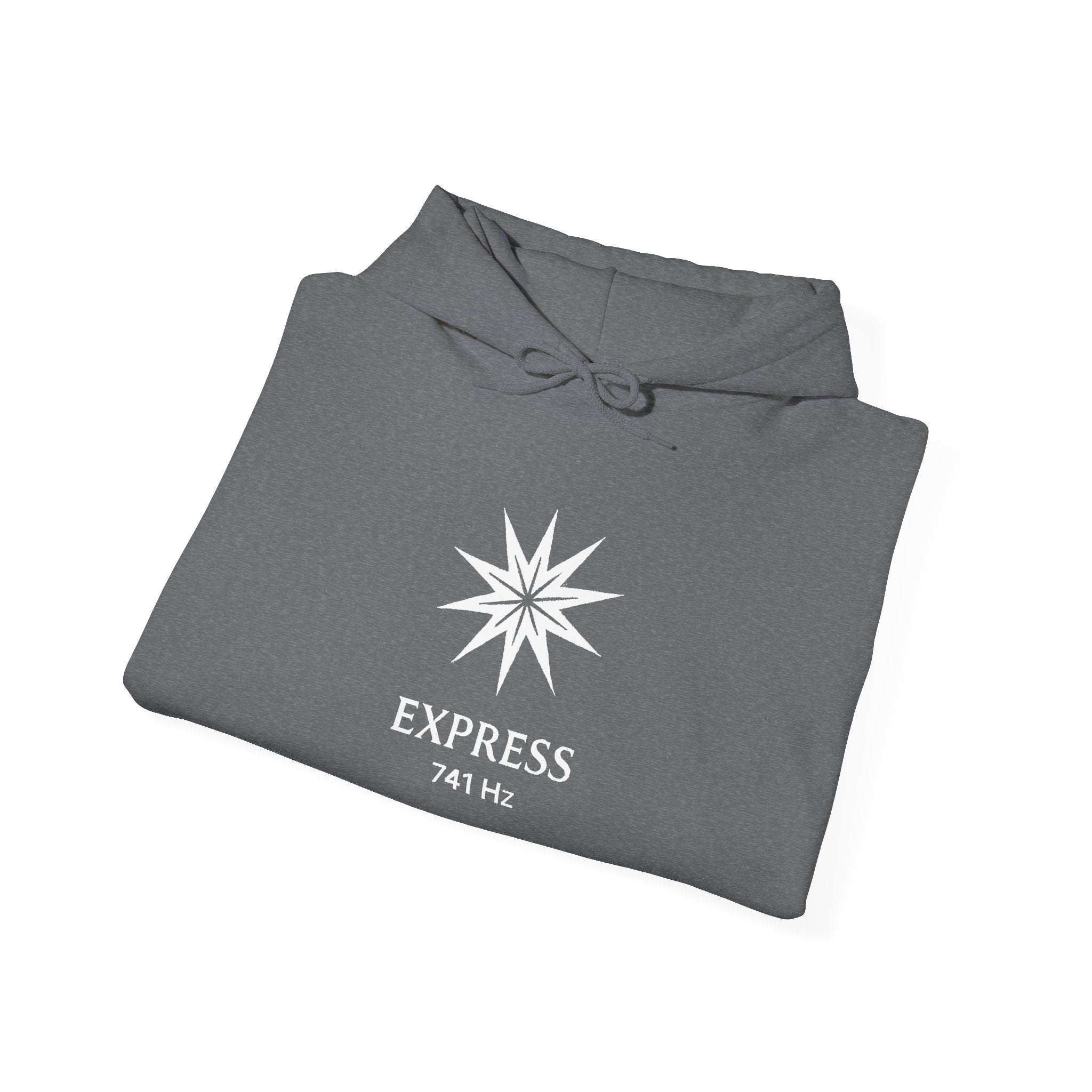 Express 741 Hz Star Logo Hoodie | Frequency Botanical Minimalist Design