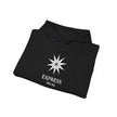 Express 741 Hz Star Logo Hoodie | Frequency Botanical Minimalist Design