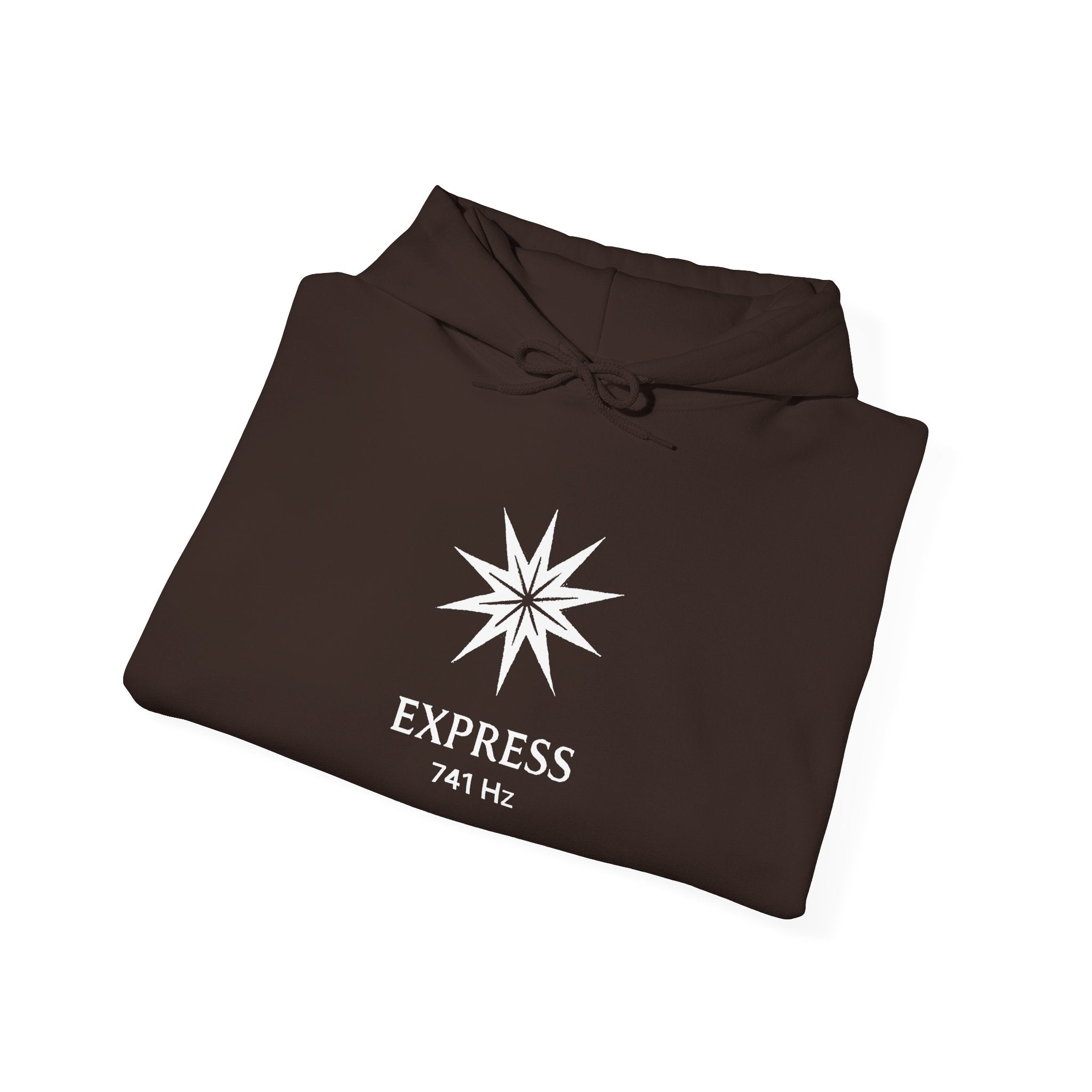 Express 741 Hz Star Logo Hoodie | Frequency Botanical Minimalist Design