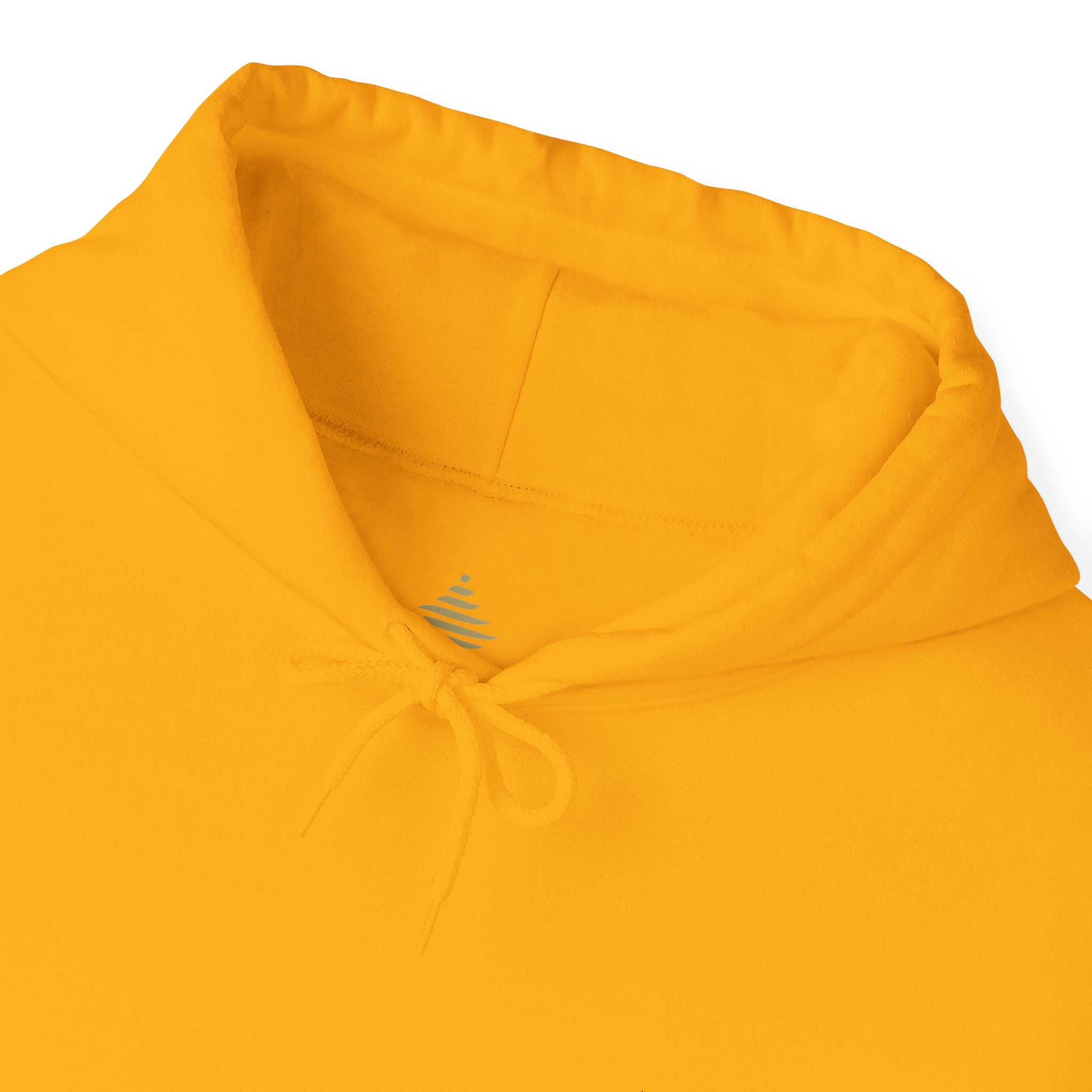 F°4 - PASSION - EMBROIDERED Unisex Heavy Blend™ Hooded Sweatshirt