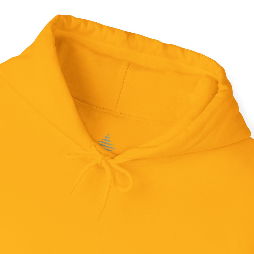 F°4 - PASSION - EMBROIDERED Unisex Heavy Blend™ Hooded Sweatshirt