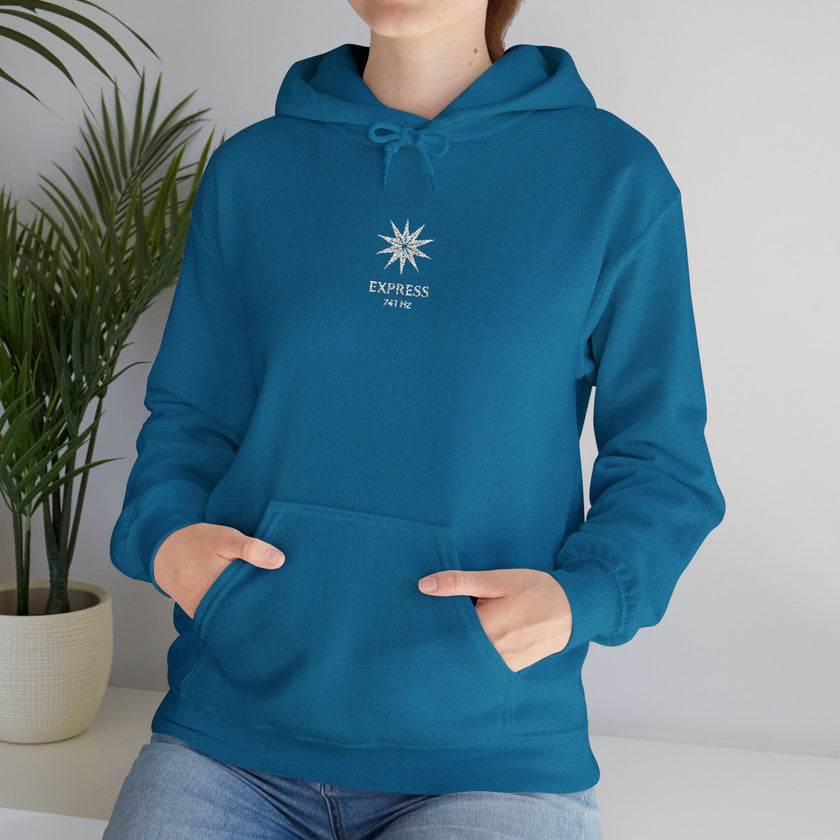 F°7 - EXPRESS - EMBROIDERED Unisex Heavy Blend™ Hooded Sweatshirt