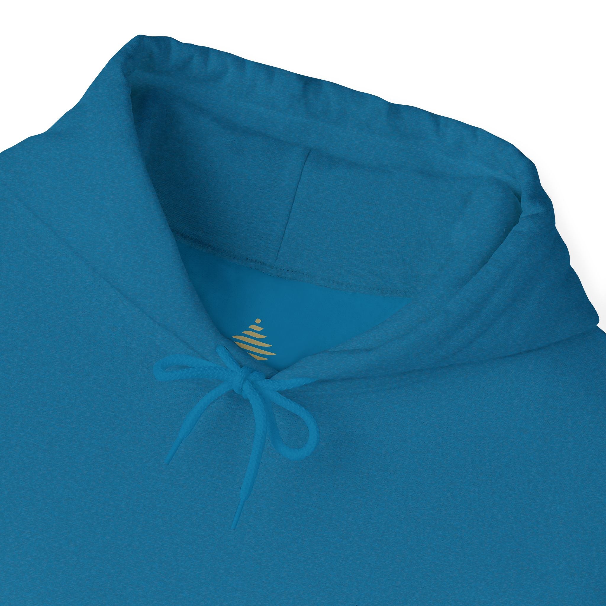F°7 - EXPRESS - EMBROIDERED Unisex Heavy Blend™ Hooded Sweatshirt