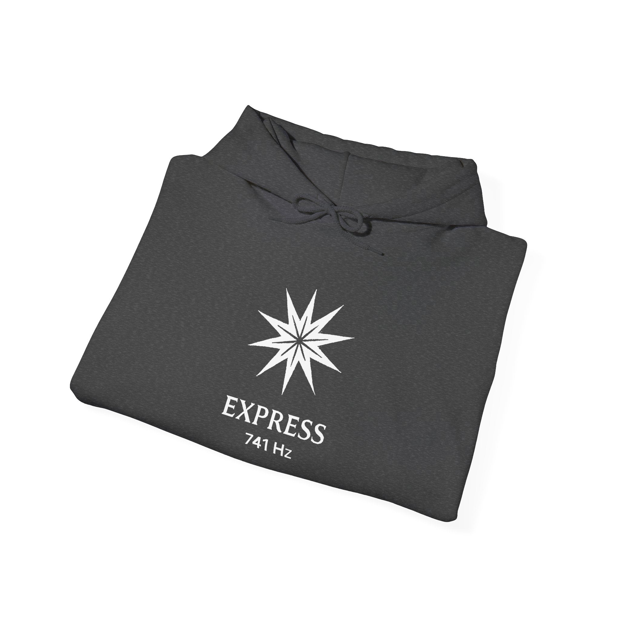 Express 741 Hz Star Logo Hoodie | Frequency Botanical Minimalist Design