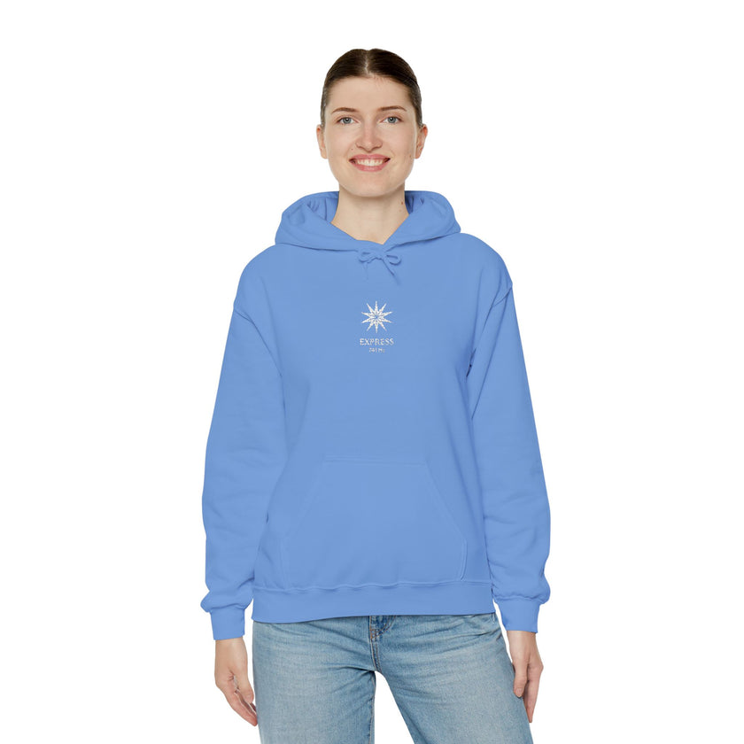 F°7 - EXPRESS - EMBROIDERED Unisex Heavy Blend™ Hooded Sweatshirt