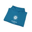 Express 741 Hz Star Logo Hoodie | Frequency Botanical Minimalist Design