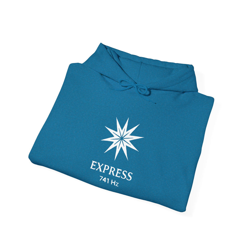 Express 741 Hz Star Logo Hoodie | Frequency Botanical Minimalist Design