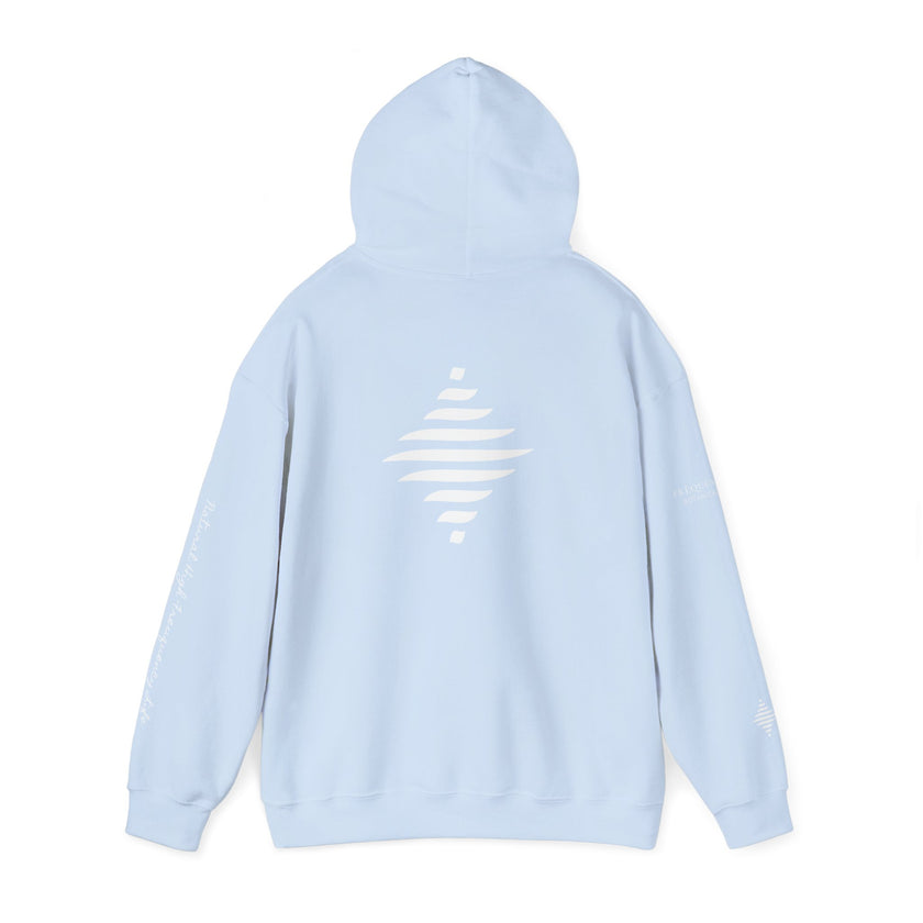 Power 528 Hz Star Logo Hoodie | Frequency Botanical Minimalist Design