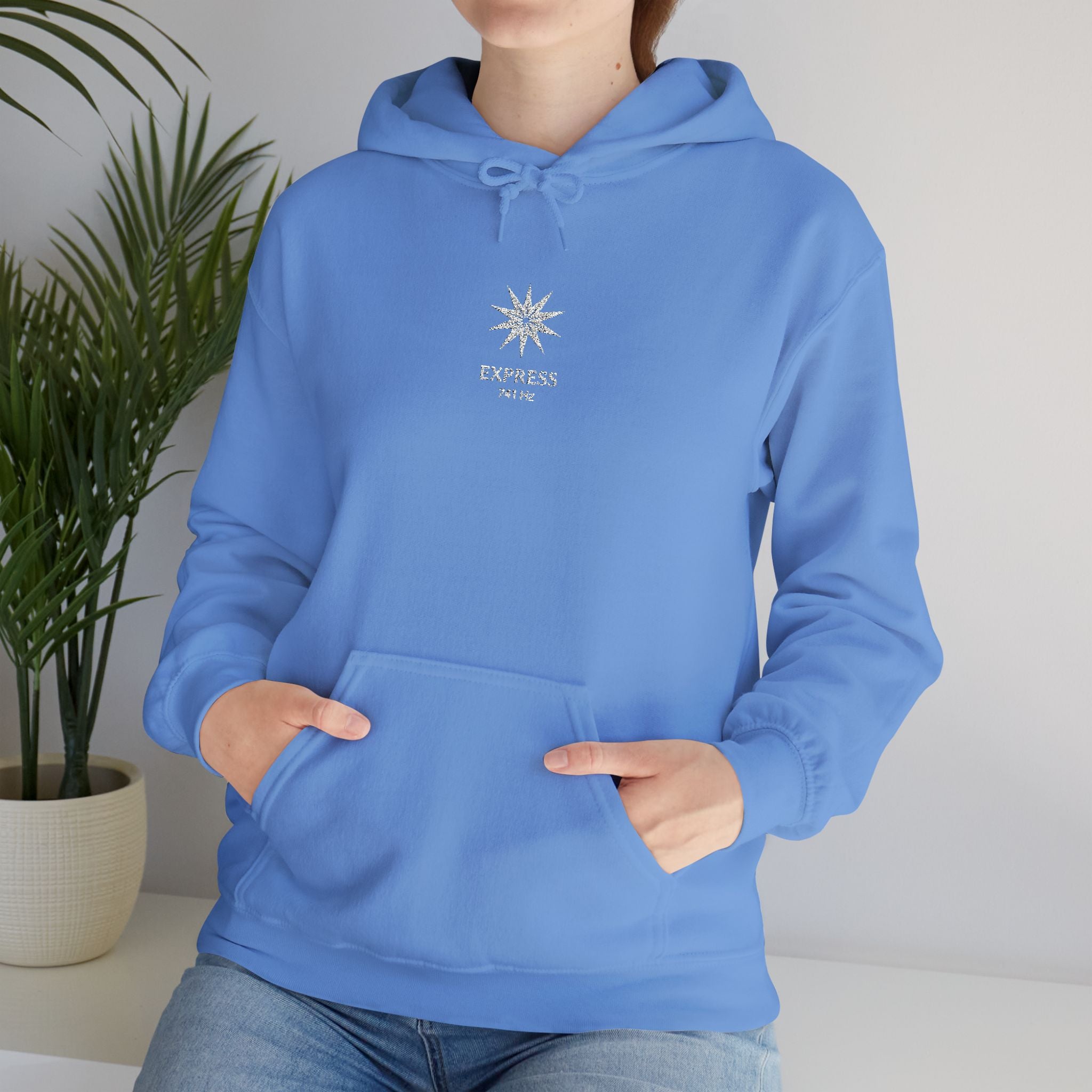 F°7 - EXPRESS - EMBROIDERED Unisex Heavy Blend™ Hooded Sweatshirt