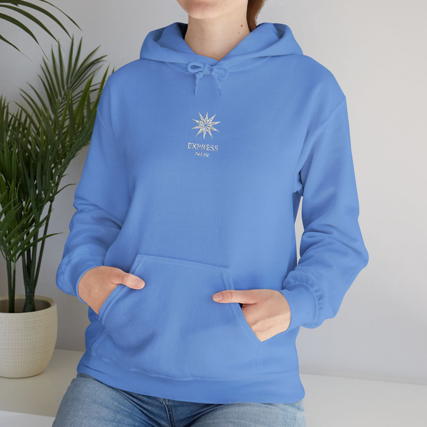 F°7 - EXPRESS - EMBROIDERED Unisex Heavy Blend™ Hooded Sweatshirt