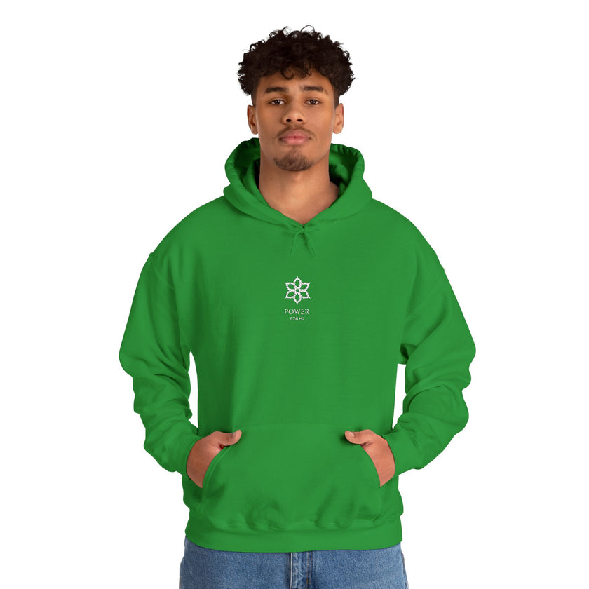 F°5 - POWER - EMBROIDERED Unisex Heavy Blend™ Hooded Sweatshirt