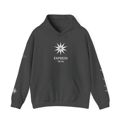 Express 741 Hz Star Logo Hoodie | Frequency Botanical Minimalist Design