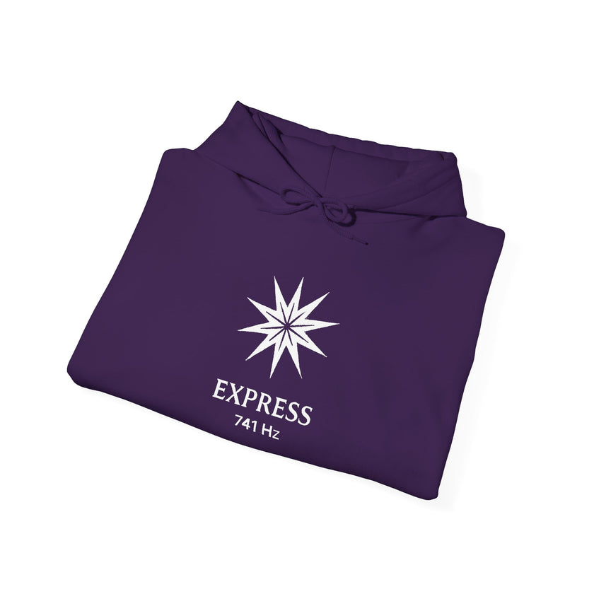 Express 741 Hz Star Logo Hoodie | Frequency Botanical Minimalist Design