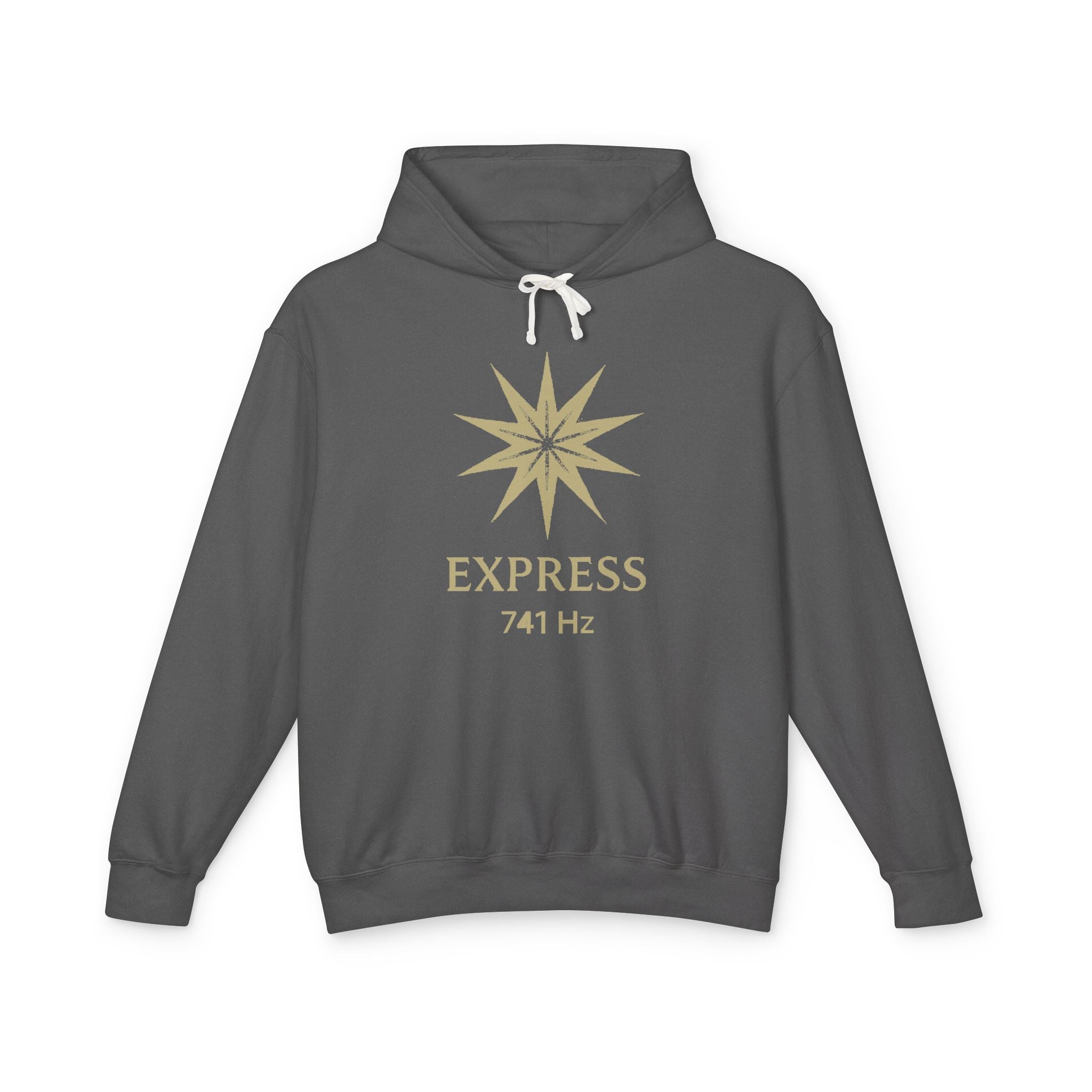 F°7 - EXPRESS - Unisex Lightweight Hooded Sweatshirt